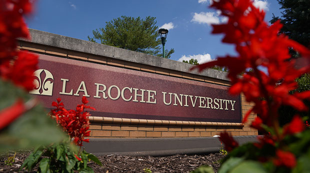 La Roche University Scholarships [YEAR]-[NEXTYEAR] Favicon