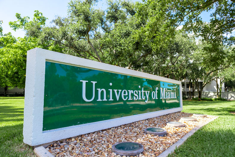 University of Miami Stamps Scholarship 2025-2026 USA